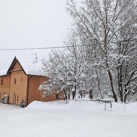 Apartments Nad Rybniky Horní Planá Exteriör bild
