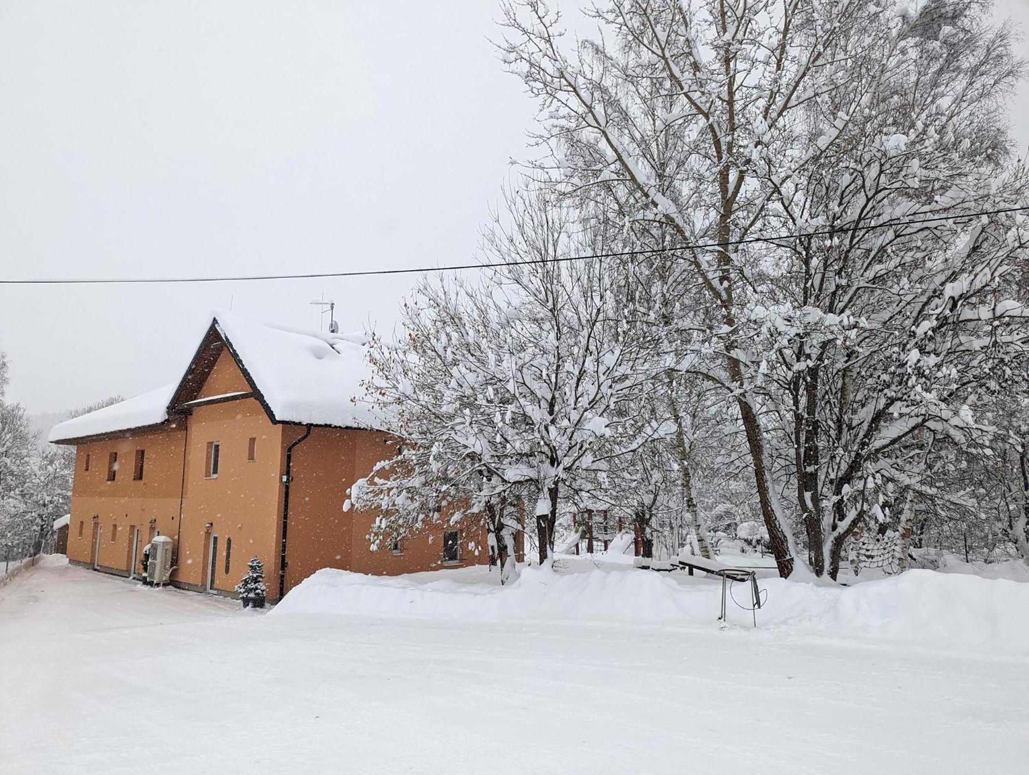 Apartments Nad Rybniky Horní Planá Exteriör bild